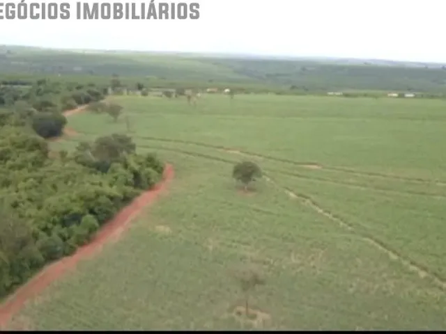 Imagem: Investimento, Cana de Açucar, Prata, Agricultura
