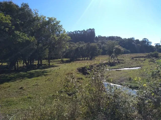 Imagem: Sitio com 9,2 Hectares - Estrada Angico