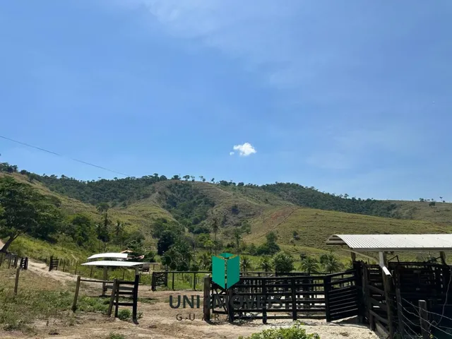 Imagem: Fazenda de 47 Alqueires a Venda, Um Potencial