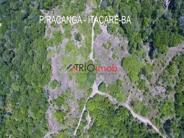 Imagem 5: Área a Venda no Piracanga Itacaré Bahia