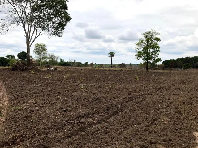Imagem: Fazenda para Venda em Peixe-To com 122,23
