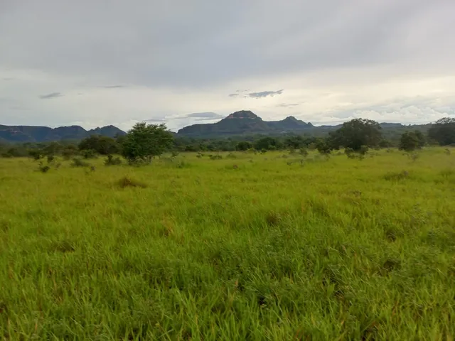 Imagem: Fazenda Dupla Aptidão para Venda na Região