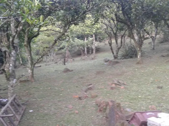 Imagem: Sitio Residencial em Canela - Rs, Passo