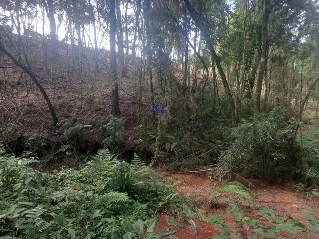 Imagem 5: CHÁCARA 18.000 M² COM CASA 300M² NOVA ALVENARIA, COM ESCRITURA E REGISTRO DE IMÓVEIS