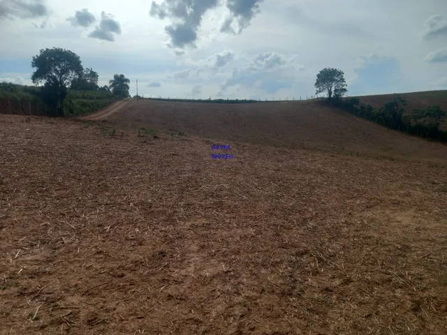 Imagem 9: CHÁCARA 18.000 M² COM CASA 300M² NOVA ALVENARIA, COM ESCRITURA E REGISTRO DE IMÓVEIS