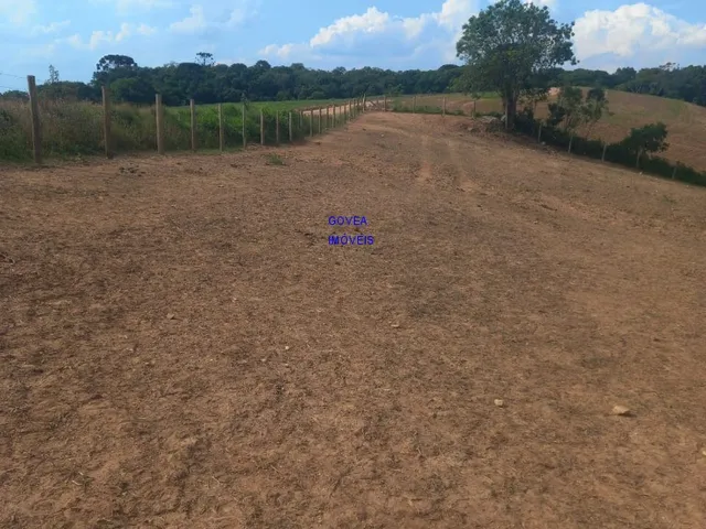 Imagem 13: CHÁCARA 18.000 M² COM CASA 300M² NOVA ALVENARIA, COM ESCRITURA E REGISTRO DE IMÓVEIS