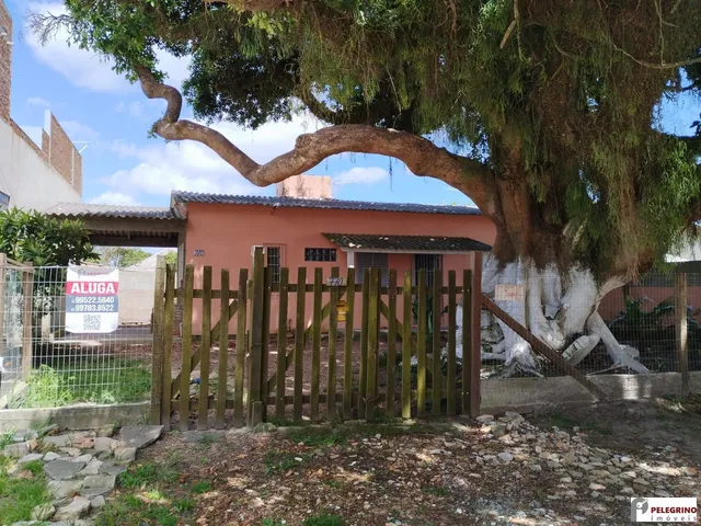 Imagem: Pelegrino Imóveis Aluga Casa no Centro