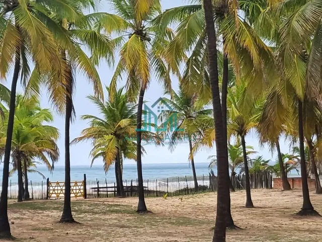 Imagem 1: Sítio a Venda com 5,01 Hectares, em Coruripe - Alagoas