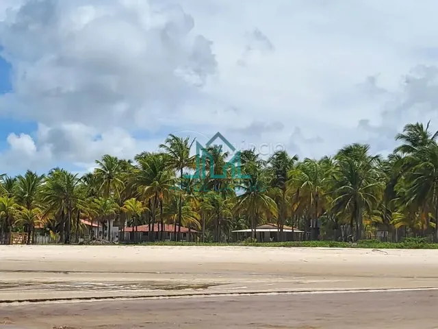 Imagem 3: Sítio a Venda com 5,01 Hectares, em Coruripe - Alagoas