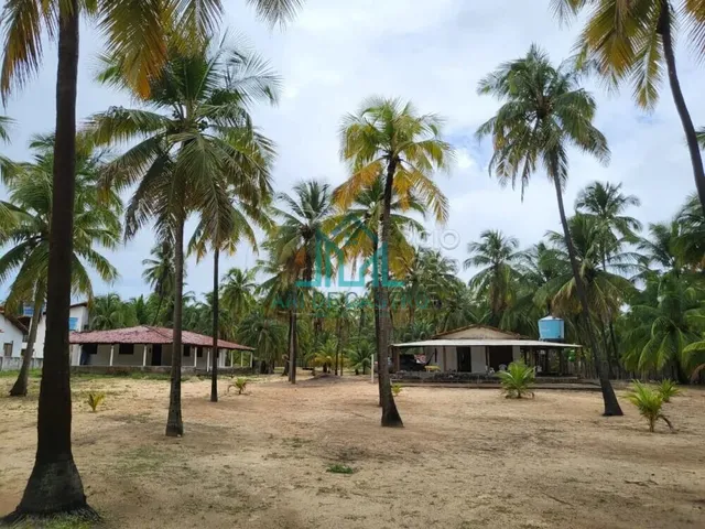 Imagem 2: Sítio a Venda com 5,01 Hectares, em Coruripe - Alagoas