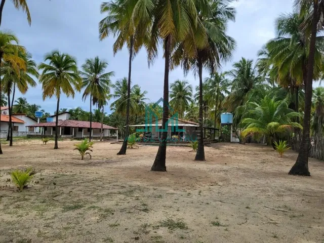 Imagem 6: Sítio a Venda com 5,01 Hectares, em Coruripe - Alagoas