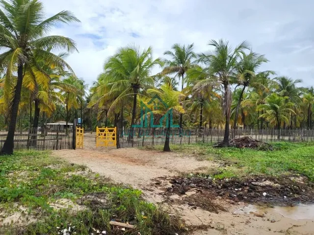 Imagem 8: Sítio a Venda com 5,01 Hectares, em Coruripe - Alagoas
