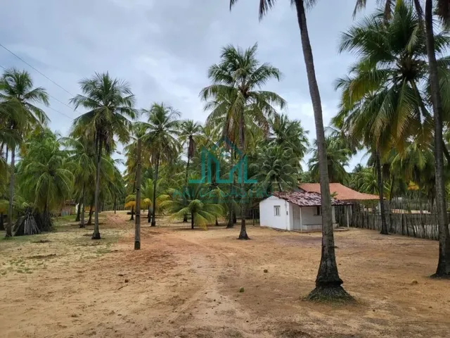 Imagem 9: Sítio a Venda com 5,01 Hectares, em Coruripe - Alagoas