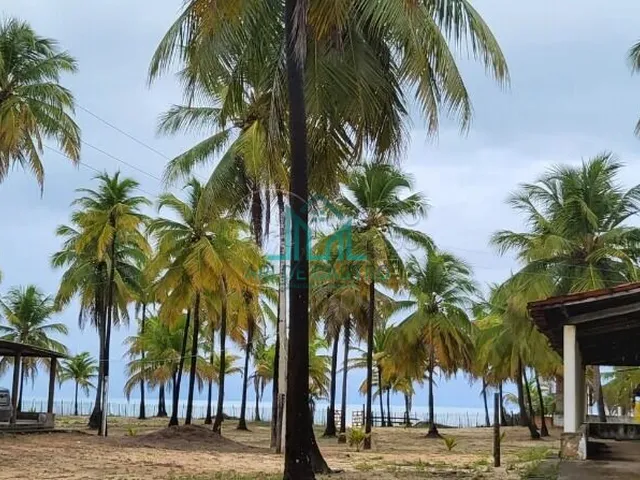 Imagem 7: Sítio a Venda com 5,01 Hectares, em Coruripe - Alagoas