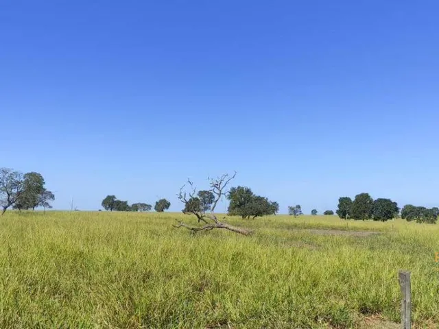 Imagem: Fazenda a Venda em Inocencia Ms