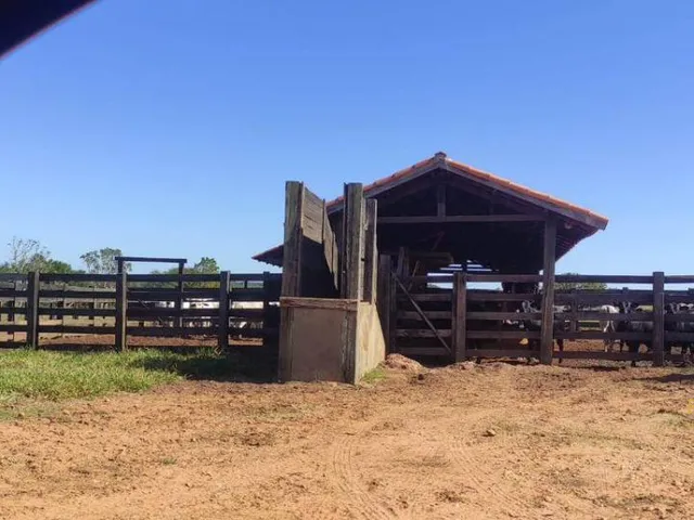 Imagem 3: Fazenda a Venda em Inocencia Ms
