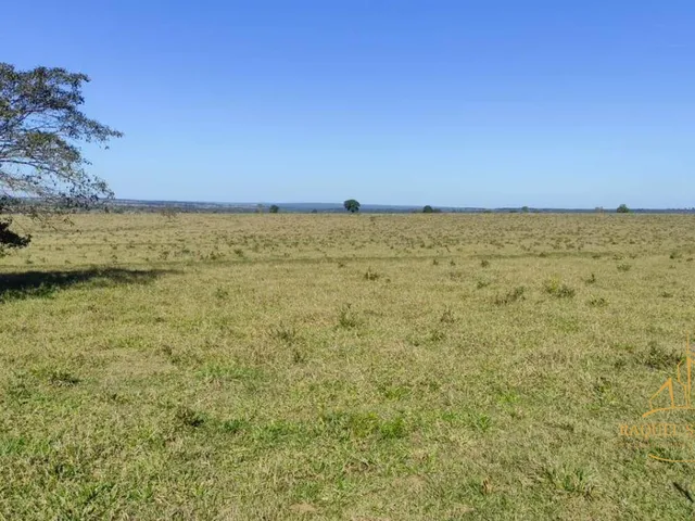 Imagem 4: Fazenda a Venda em Inocencia Ms