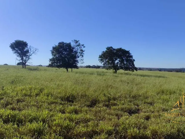 Imagem 5: Fazenda a Venda em Inocencia Ms