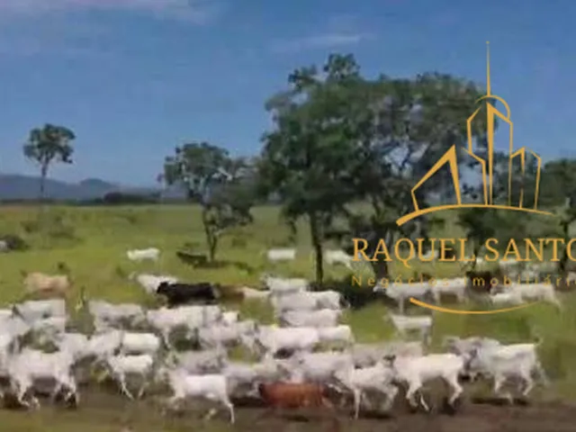 Imagem: Fazenda a Venda Arraias Tocantins