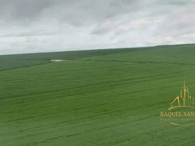 Imagem: Fazenda À Venda Xingu-Mt
