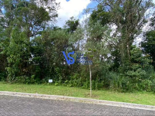Imagem 1: Terreno no Terras Altas, em Gramado/Rs!