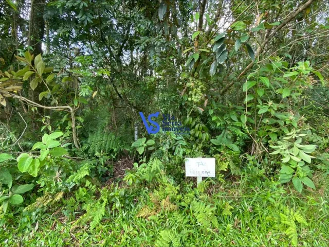 Imagem 3: Terreno no Terras Altas, em Gramado/Rs!
