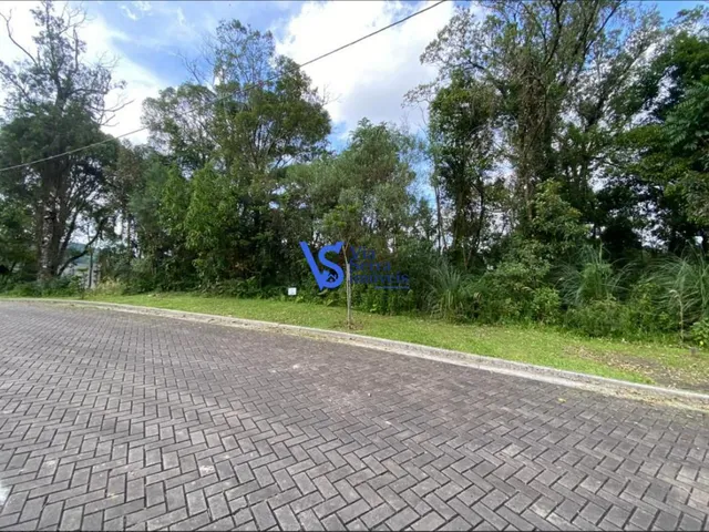 Imagem 5: Terreno no Terras Altas, em Gramado/Rs!