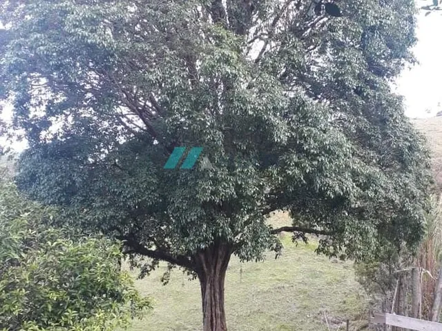 Imagem 5: Sítio À Venda no Bairro Sertão do Cangueri - Imaruí/Sc