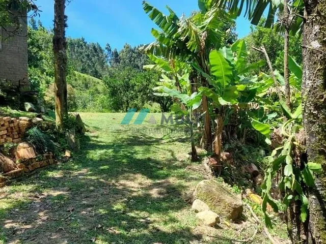 Imagem 4: Sítio À Venda no Bairro Sertão do Cangueri - Imaruí/Sc