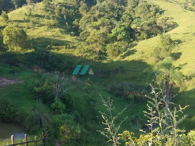 Imagem 7: Sítio À Venda no Bairro Sertão do Cangueri - Imaruí/Sc