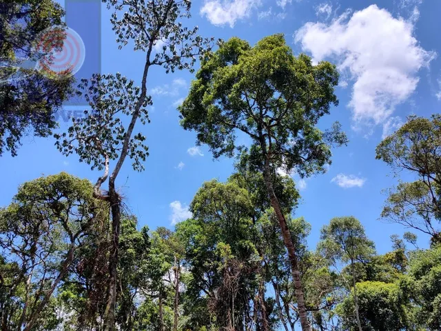 Imagem 4: Terreno com lindo córrego de aguas cristalinas