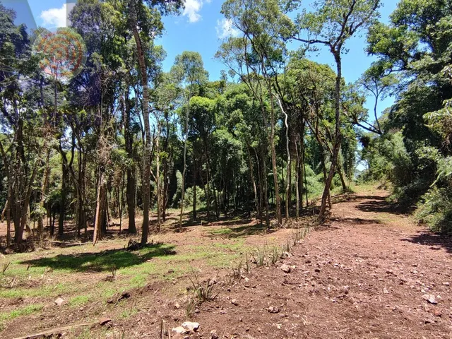 Imagem 15: Terreno com lindo córrego de aguas cristalinas