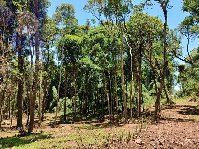 Imagem 14: Terreno com lindo córrego de aguas cristalinas