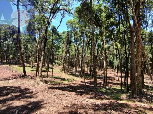 Imagem 16: Terreno com lindo córrego de aguas cristalinas