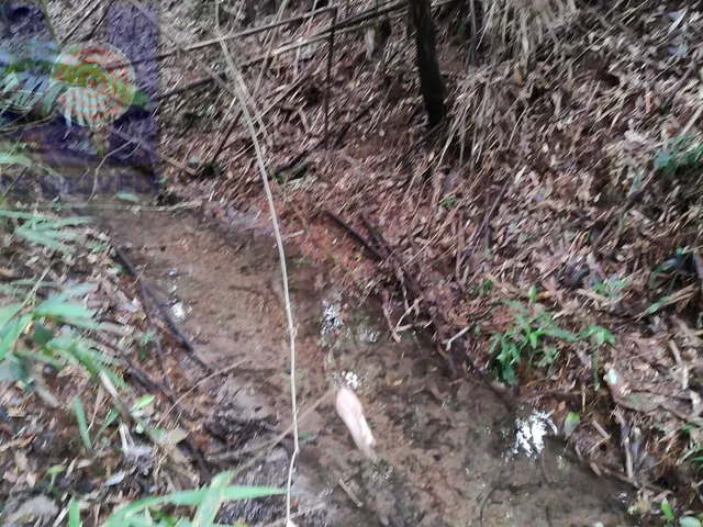 Imagem 6: Terreno com lindo córrego de aguas cristalinas
