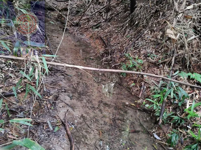 Imagem 9: Terreno com lindo córrego de aguas cristalinas