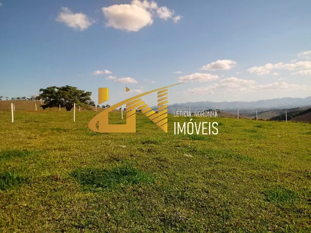Imagem: Chacara Rural em São Lourenço - Mg, Pessegueiro