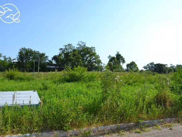 Imagem 3: Terrenos a Partir de R$80.000,00, Loteamento Alvorada