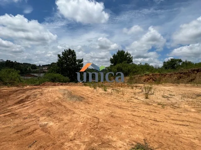 Imagem 1: Área - São Bento do Sul/Sc