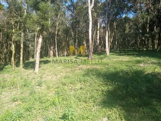 Imagem: Chácara, 7000M², À Venda no Recreio da