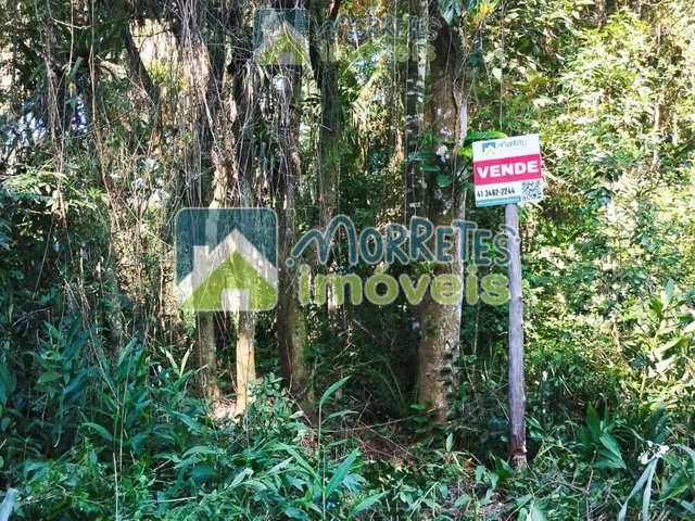 Imagem: Área à venda no bairro Cruz Alta - Morretes/PR