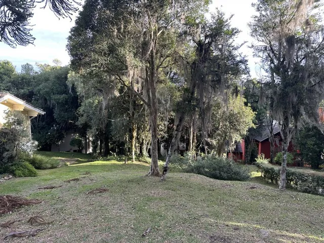 Imagem 2: Terreno em Gramado, Saint Morritz