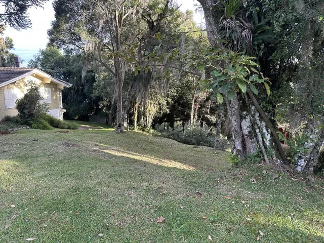 Imagem 3: Terreno em Gramado, Saint Morritz