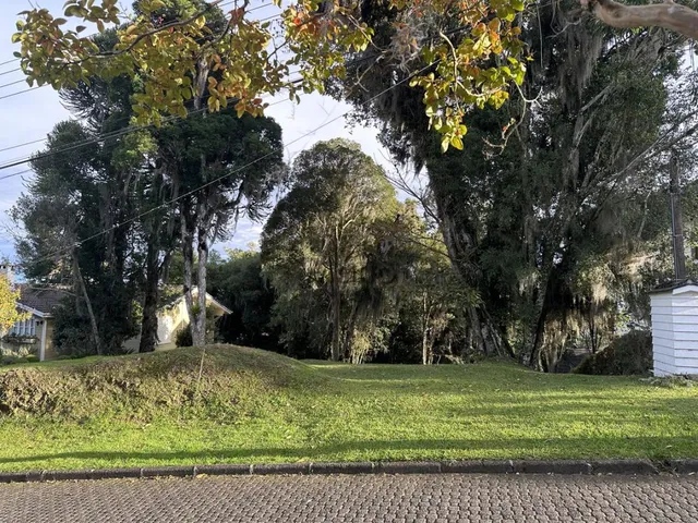 Imagem 6: Terreno em Gramado, Saint Morritz
