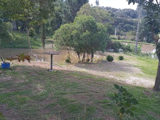 Imagem: EXUBERANTE CHÁCARA EM BOCAIUVA DO SUL