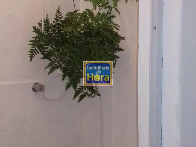 Imagem 10: Casa maravilhosa procura dona caprichosa