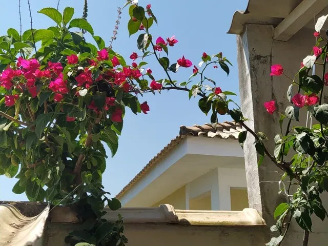 Imagem: Casa para Alugar no Bairro Três Vendas