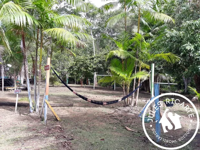 Imagem 13: Chacara Rural em Macapá - Ap, Br 156, Km 38