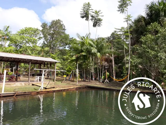 Imagem 10: Chacara Rural em Macapá - Ap, Br 156, Km 38