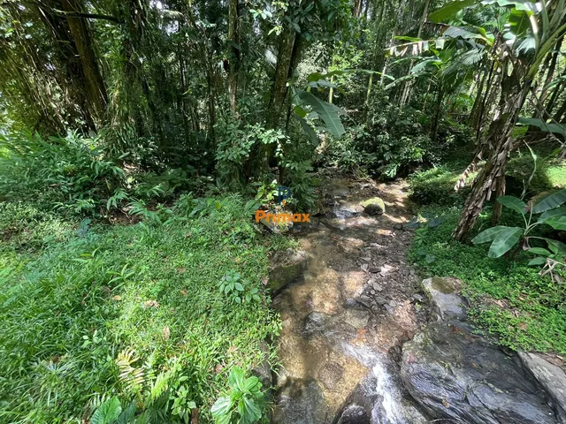 Imagem: LINDO TERRENO PARA SITIO